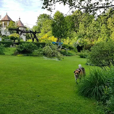 샬레 Owczarzowka *